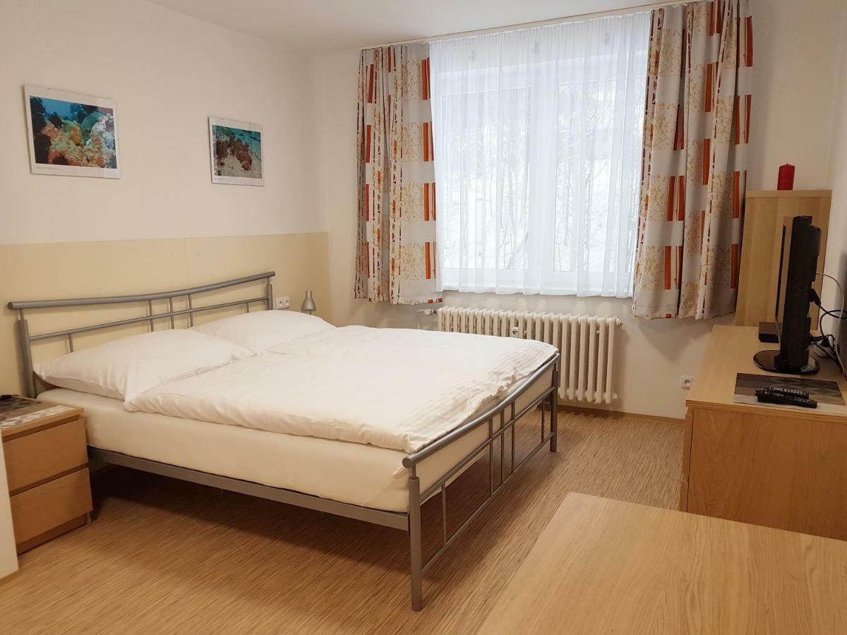 101 Apartment Horni Marsov